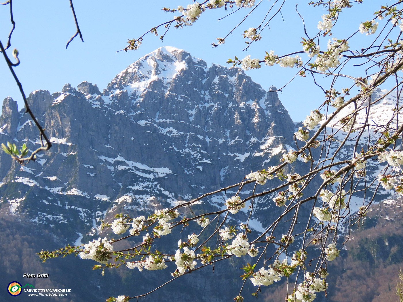 26 Ciliegio in fiore con Corna Piana.JPG